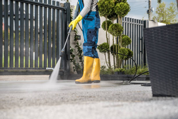 Boat and Dock Cleaning in Lake Holiday, IL