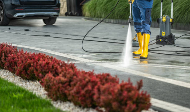 Best Parking Lot and Garage Cleaning  in Lake Holiday, IL
